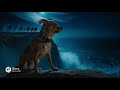 Koko In The Lost Dogs 