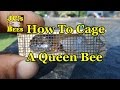 Caging A Queen Bee