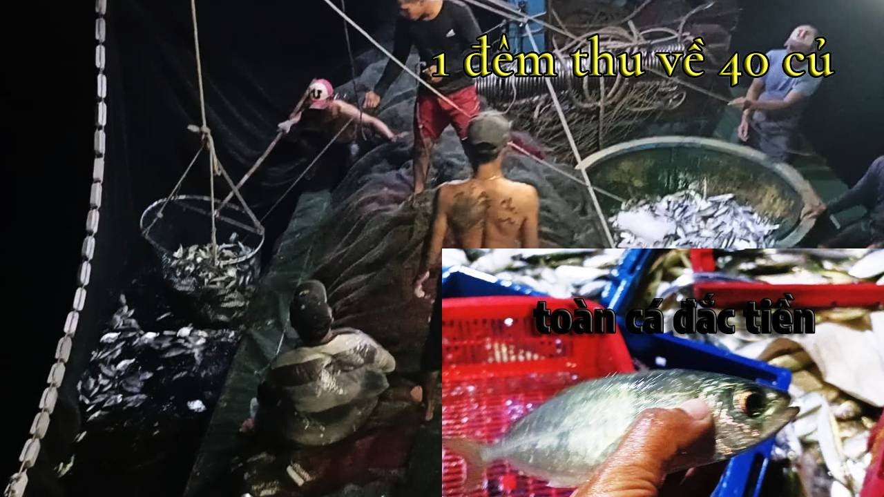 ĐÁNH 2 VÁC TOÀN CÁ ĐẮT TIỀN ĐƯỢC 40 CỦ # VÂY RÚT ĐÊM - youtube