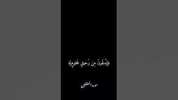 ان الابرار لفي نعيم |سوره المطففين #ماهر_المعيقلي  #كرومات @abrar8959