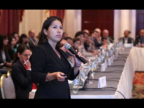 სტიქიასთან დაკავშირებით უცხოელმა ექსპერტებმა რეკომენდაციები შეიმუშავეს