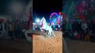 214 Ram Ram Camel Dance