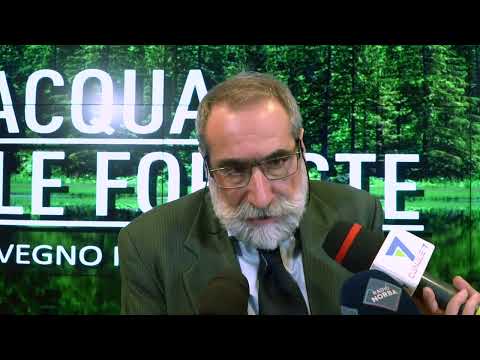 Acqua e foreste: patto di alleanza per la loro tutela tra Aqp, Carabinieri e Sirf - Schirone