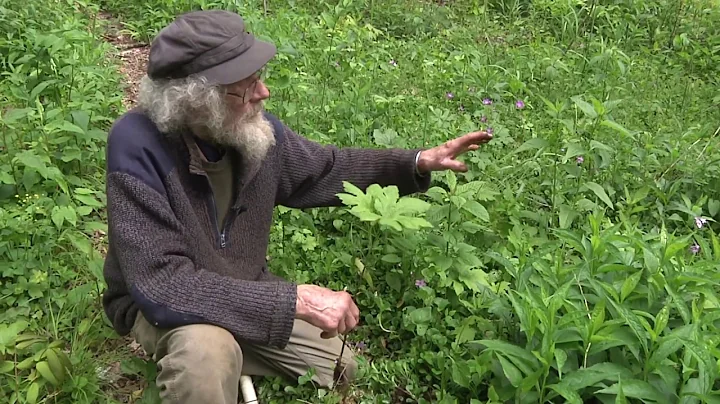 Mountain Gardens Tour with Joe Hollis