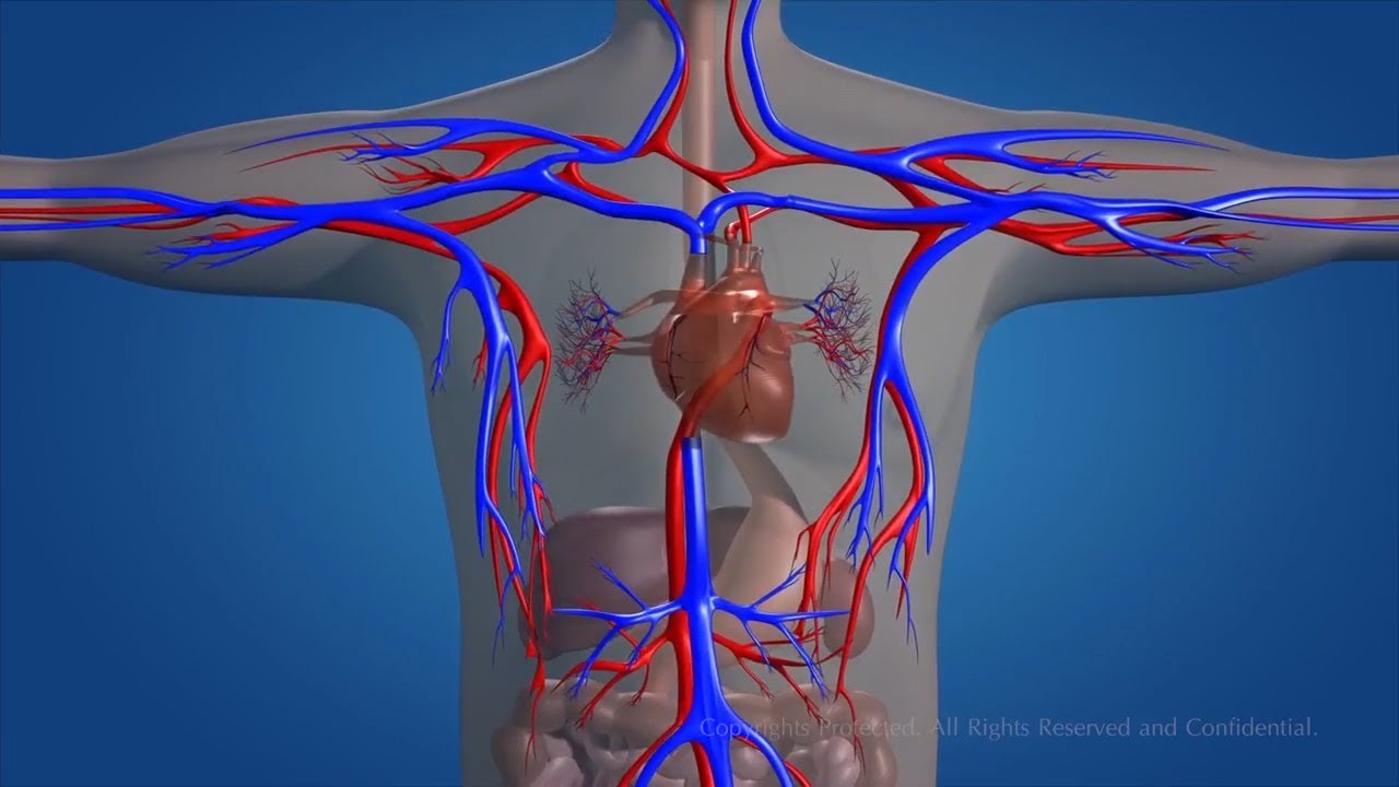 Chakufamu zaidi kuhusu Magonjwa ya DAMU