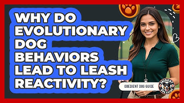 Why Do Evolutionary Dog Behaviors Lead To Leash Reactivity? - Obedient Dog Guide