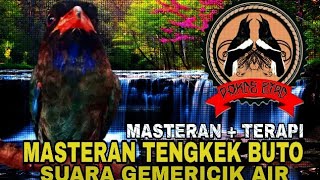 Masteran + Terapi !!! Suara Tengkek Buto + Suara Gemericik Air (Anti Stres)