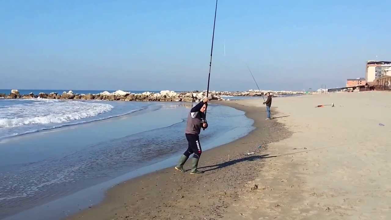 Primo allenamento pendolare con canna century carbon metal crest