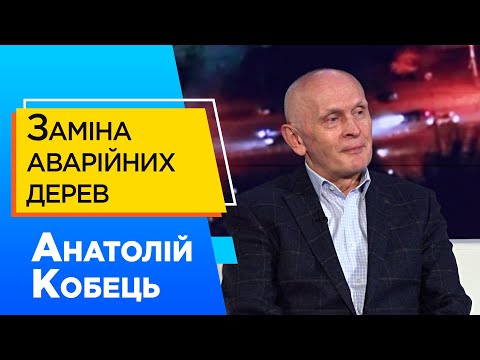 До 100-річчя аграрно-економічного університету у Дніпрі оновлять зелені насадження