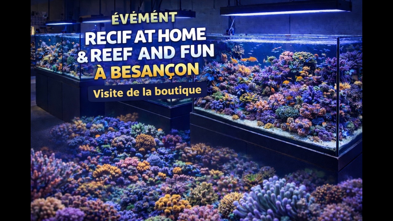 VISITE DE L EVENEMENT ⁨@RecifAtHome2011⁩