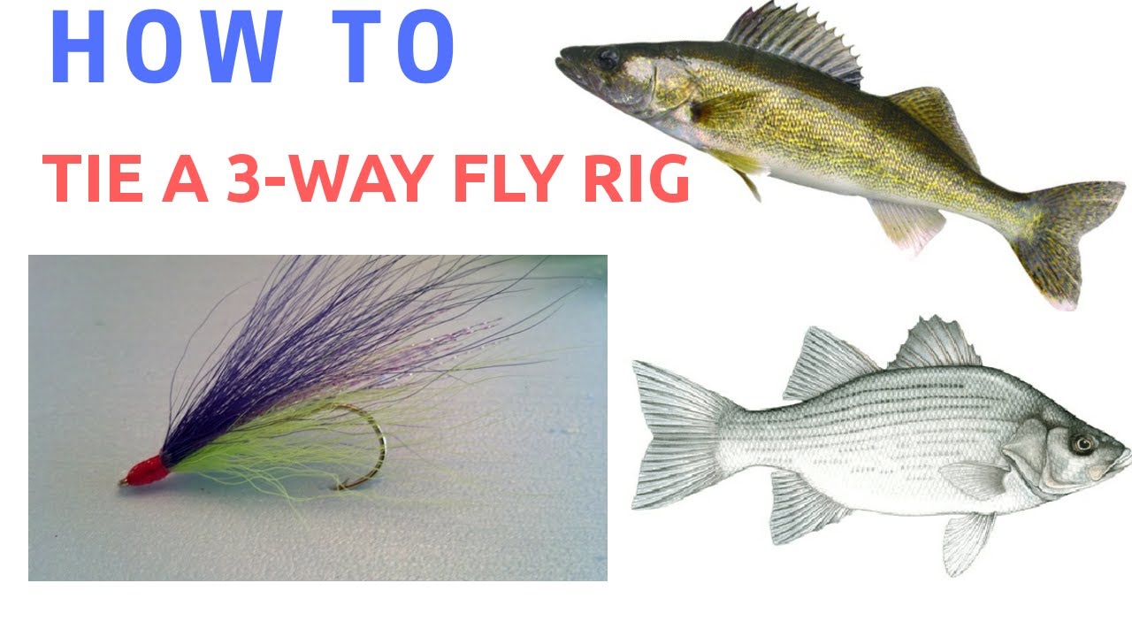 How To Tie a 3 Way Fly Rig for Walleye & White Bass 