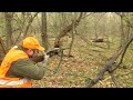 Hunting Serbia - Wild boar hunting | Lov na divlje svinje - Hrastovača I deo | Caccia ai cinghiali