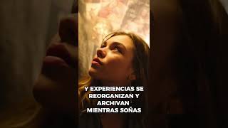 Tu cerebro crea una realidad completamente nueva mientras dormís