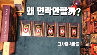 [타로카드/연애운] 그사람 연락없는 이유가 뭘까?