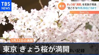 東京の桜「満開」を気象庁発表 “見ごろ”は今月２８日ごろまで