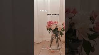 99 Names Of Prophet Muhammad Allah ﷻ Has Called Prophet ﷺ With Different Names In Quran