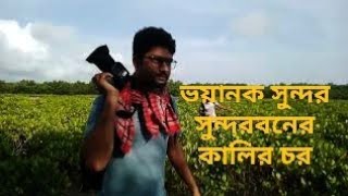 ভয়ানক সুন্দর সুন্দরবনের কালির চর।#sundarbantrip  #sundarban_tour  #sundarbansafari #naturebeauty