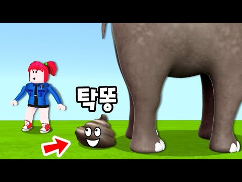 똥으로 숨었어요ㅋㅋ [숨바꼭질 <strong>꿀자리</strong>!] 로블록스 탁주 쪼꼬