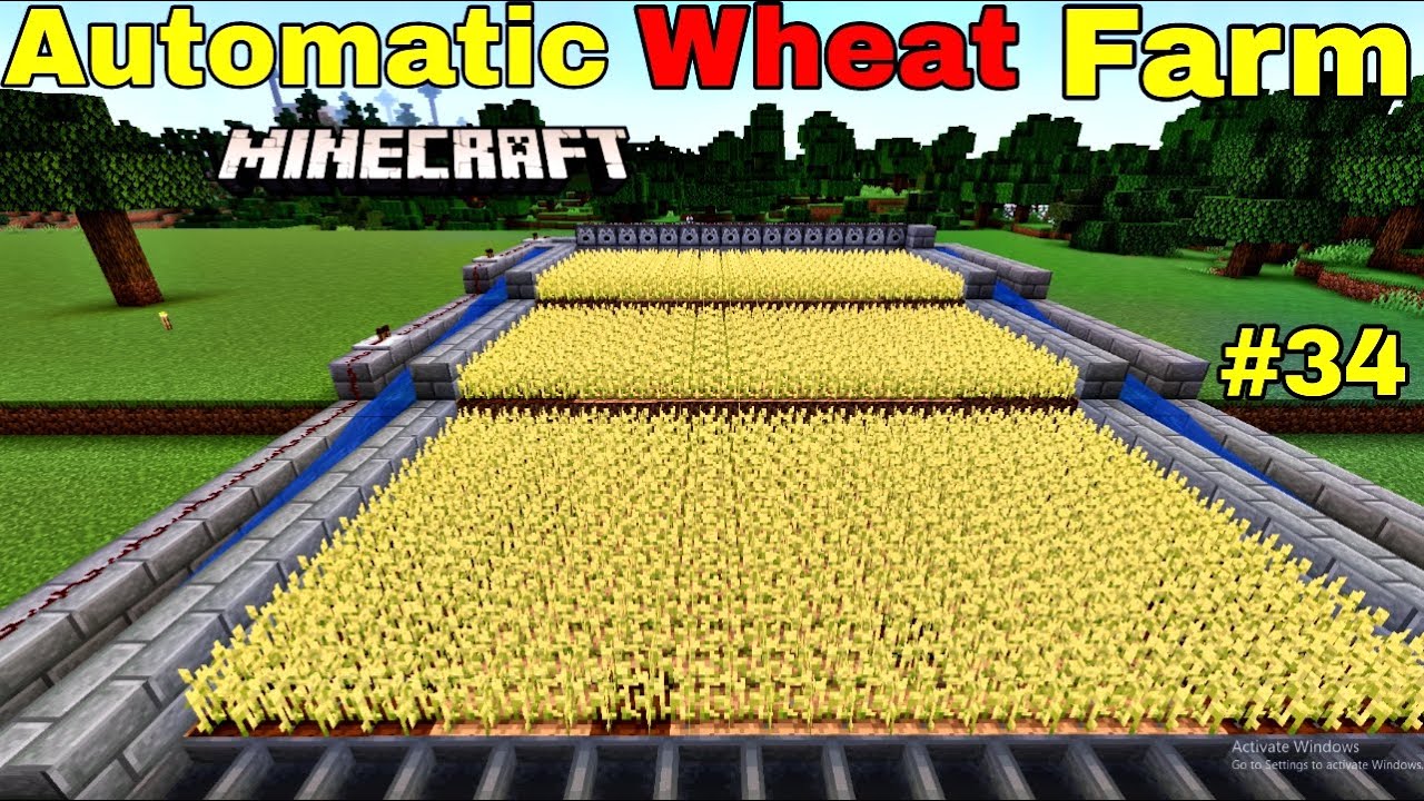 How To Make Automatic Wheat Farm in Minecraft Pe || Minecraft Survival ...