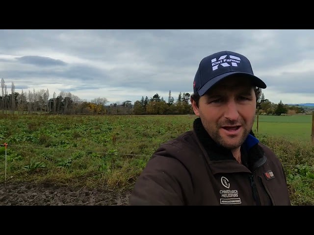 Why I started KIWI FARMER on You Tube....... class=