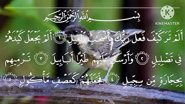 105 | Surah Al Fiil | Syeikh Muhammad Luhaidan | سورة الفيل تلاوة رائعة الشيخ محمد اللحيدان