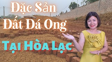 Đặc sản ĐẤT ở Hòa Lạc| Linh Nga