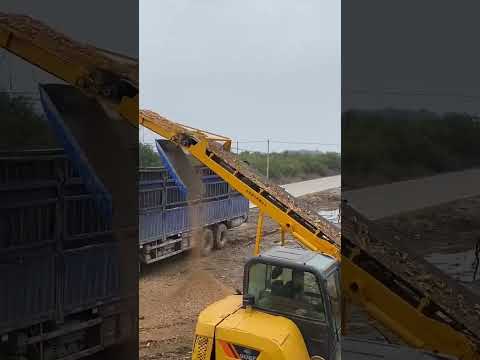 WD3600C tub grinder workflow: feeding, grinding and discharge