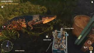 FARCRY6GUERRILLA_BASILICA DE LA VIRGEN_ROADSIDE BOOTH: SEARCH_ROAD RUN_MACHETE KILL
