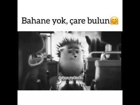 Bahane yok, çare bulun💙💕