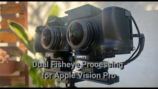 Dual Fisheye Processing for Apple Vision Pro screenshot 4