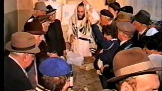 מסע שטפנשט תשנ"ז (1996) לחיזוק הקהילות היהודיות ברומניה