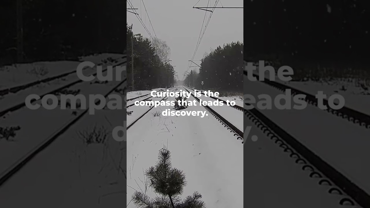 Stay Curious: Quotes to Inspire Learning