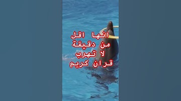 قران #قرآن #الجزائر #اكسبلور #مصر #مصر #قران_كريم #قطر #تلاوات #لايك