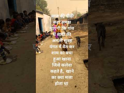 Life in Village