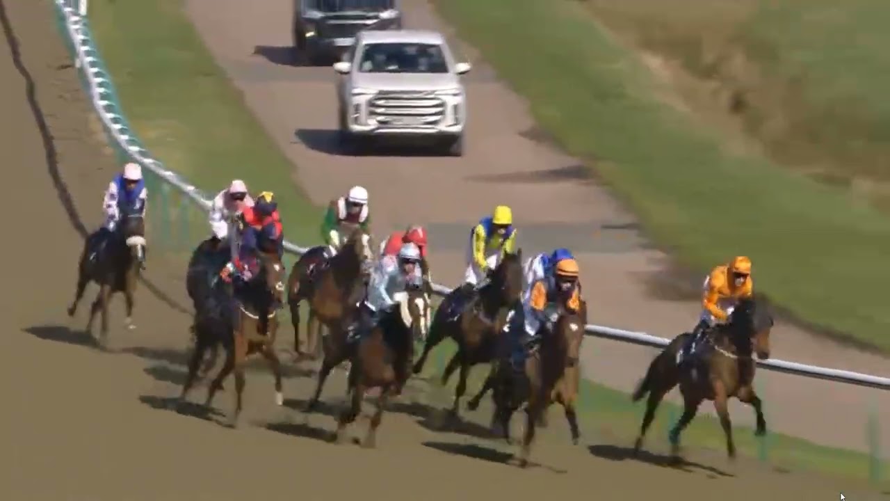 R1 13:12 Lingfield  UK 25 Feb 2026