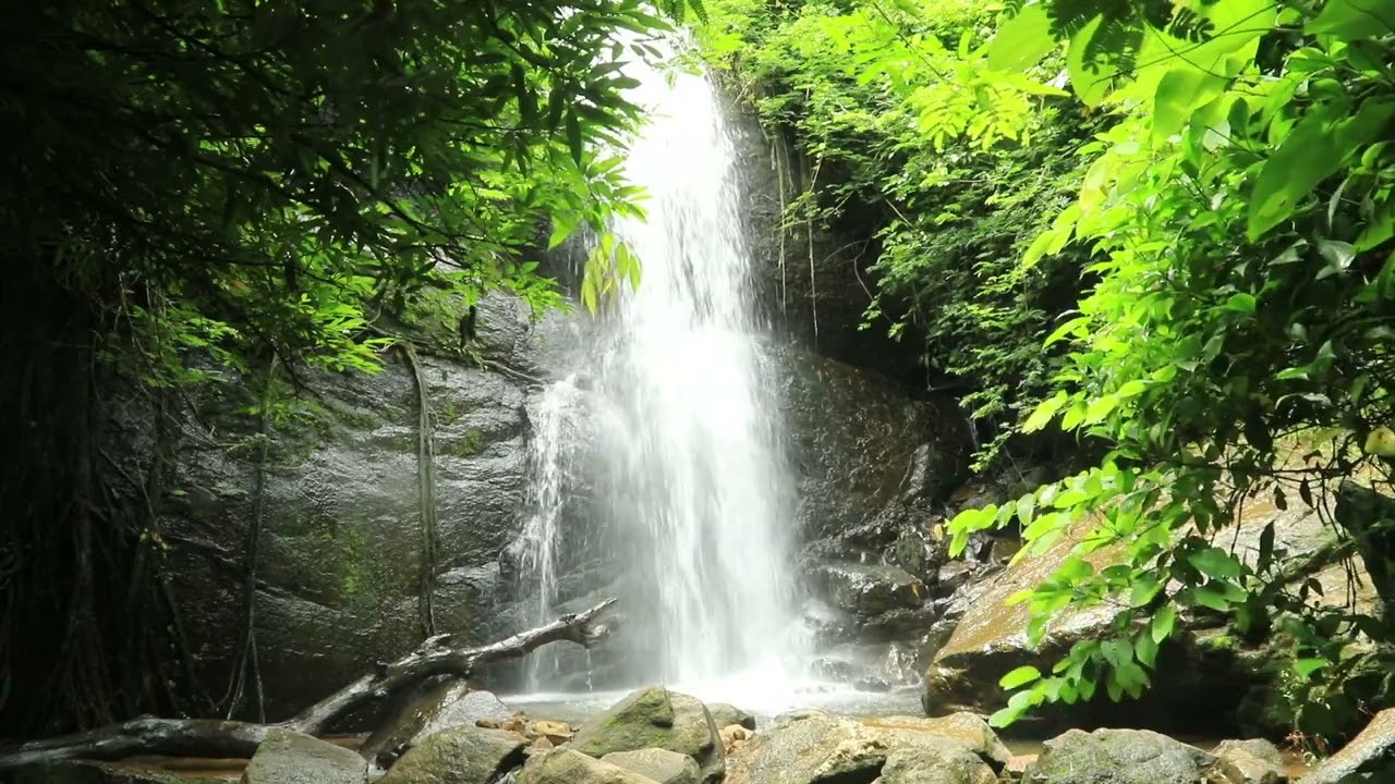 Roaring Waterfall Sounds: Relaxing Nature Sounds for Stress Relief