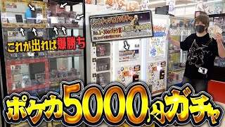 【ポケカ】1回5000円!?とんでもなく高額のポケカガチャを見つけたから当たり枠出すわ!!!
