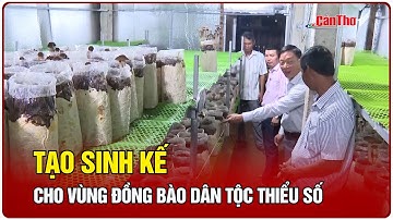 Tạo sinh kế cho vùng đồng bào dân tộc thiểu số | CT-TDT