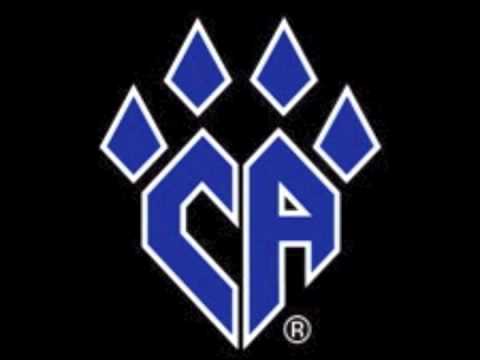 Cheer Athletics Panthers 2013 Music