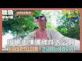 【花甲少年趣旅行】周曉涵擇偶條件大公開 小時候許願太貪心 林煒秒吐槽「既要又要？」｜Oh!8歐叭