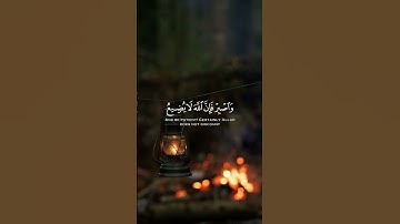 قران كريم || بصوت هادئ وجميل #للقارئ  إسلام صبحي 🩵💚