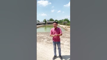 Bán 3100m2 đất bình khánh Cần Giờ TPHCM. Giá 3tr/m2, gọi ngay cho em 0903 615 425 em Trung