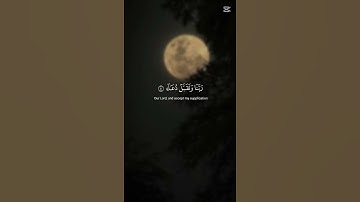 القارئ محمد الصديق المنشاوي  #القرآن_الكريم #اكسبلور #المصحف #تلاوة_خاشعة #دويتو