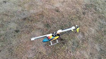 T-REX 250 PLUS DFC - Winter Flight 26/12