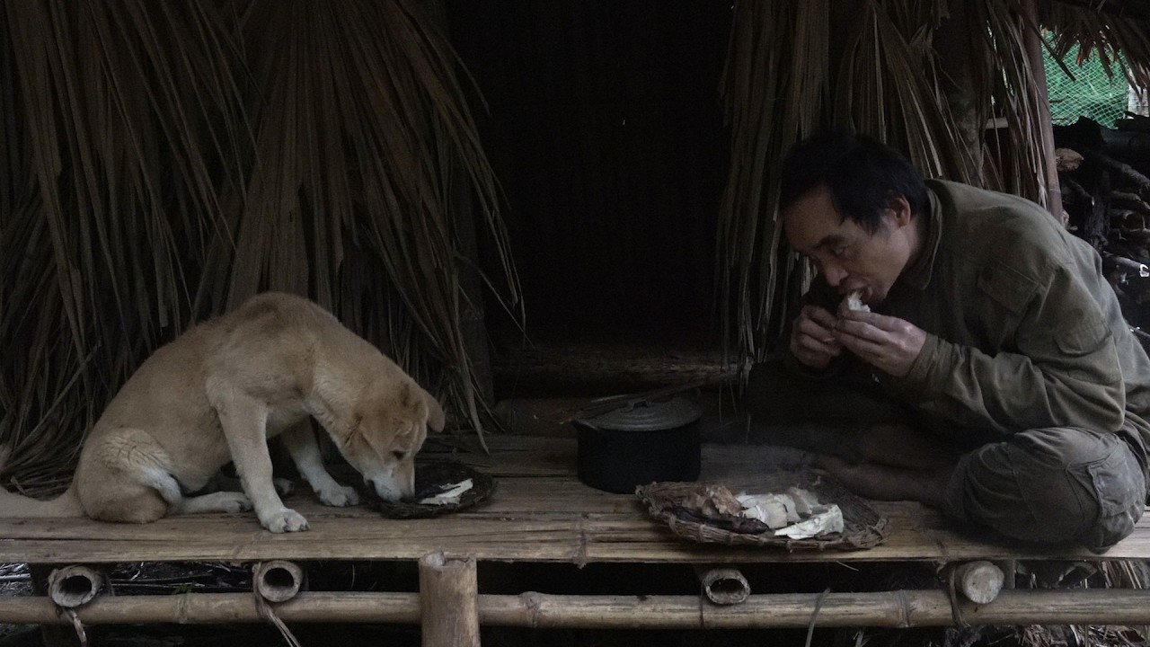 Repairing the shelter and nurturing it | 365 Days of Survival in the Deep Forest | Ep 20