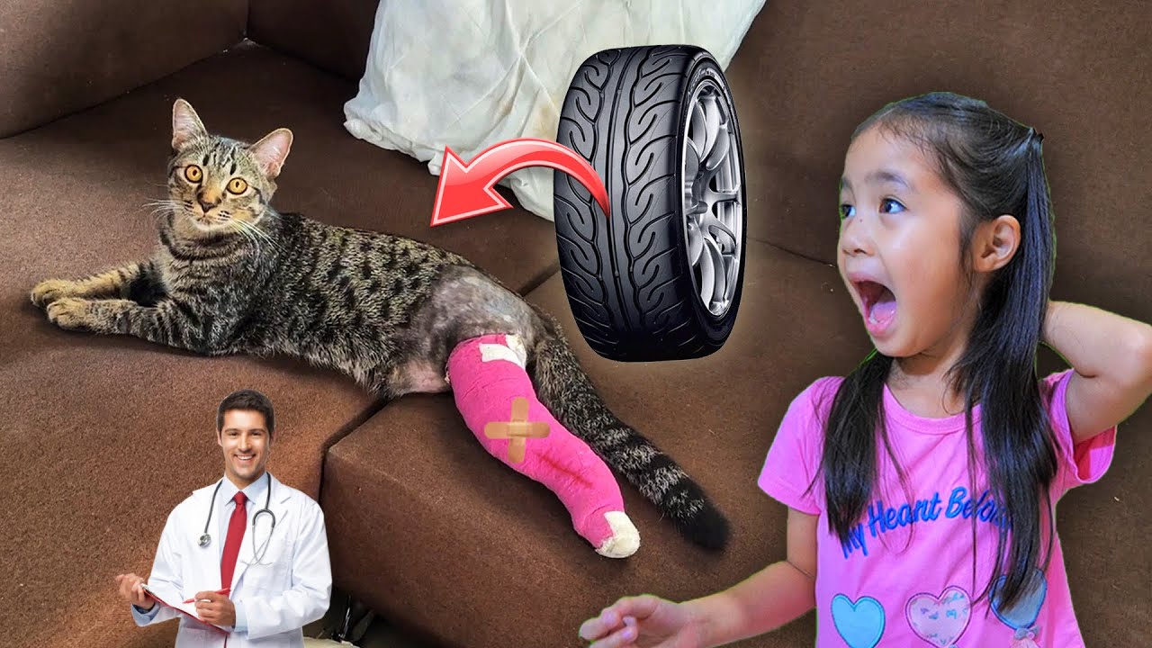 แมวขาหัก 🚑 โดนรถทับ | บริ้งค์ไบรท์