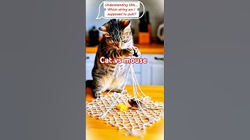 Understanding Uhh... Which string am I supposed to pull? #CatVsMouse#cat #ai #trap #animals #cartoon