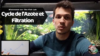 Cycle de l'azote et méthodes de filtration