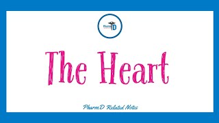Heart (Notes and Assignment)