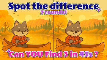 Can You Spot the 3 Differences in 45 Seconds?! 🙀 7 Cozy Puzzles with Cute Animals